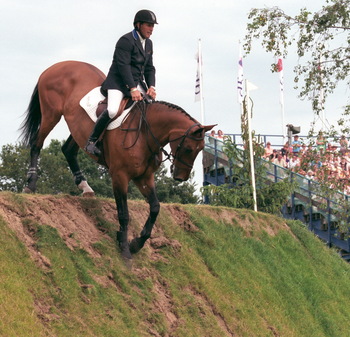 Derby legend Cortaflex Mondriaan to be retired at Hickstead